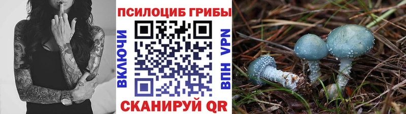 omg ТОР  Ачинск  сайты даркнета Telegram  Галлюциногенные грибы мицелий 